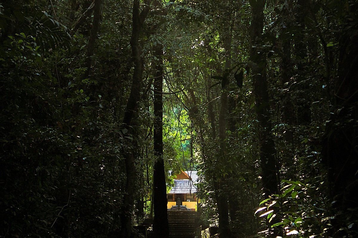 Sylvan Pathway