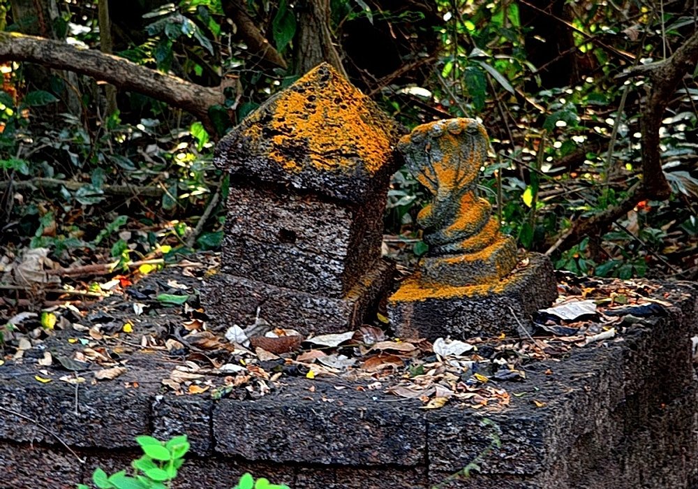 Ancient Stone Nagaraja